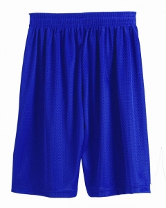 11" Inseam Pro Mesh Shorts